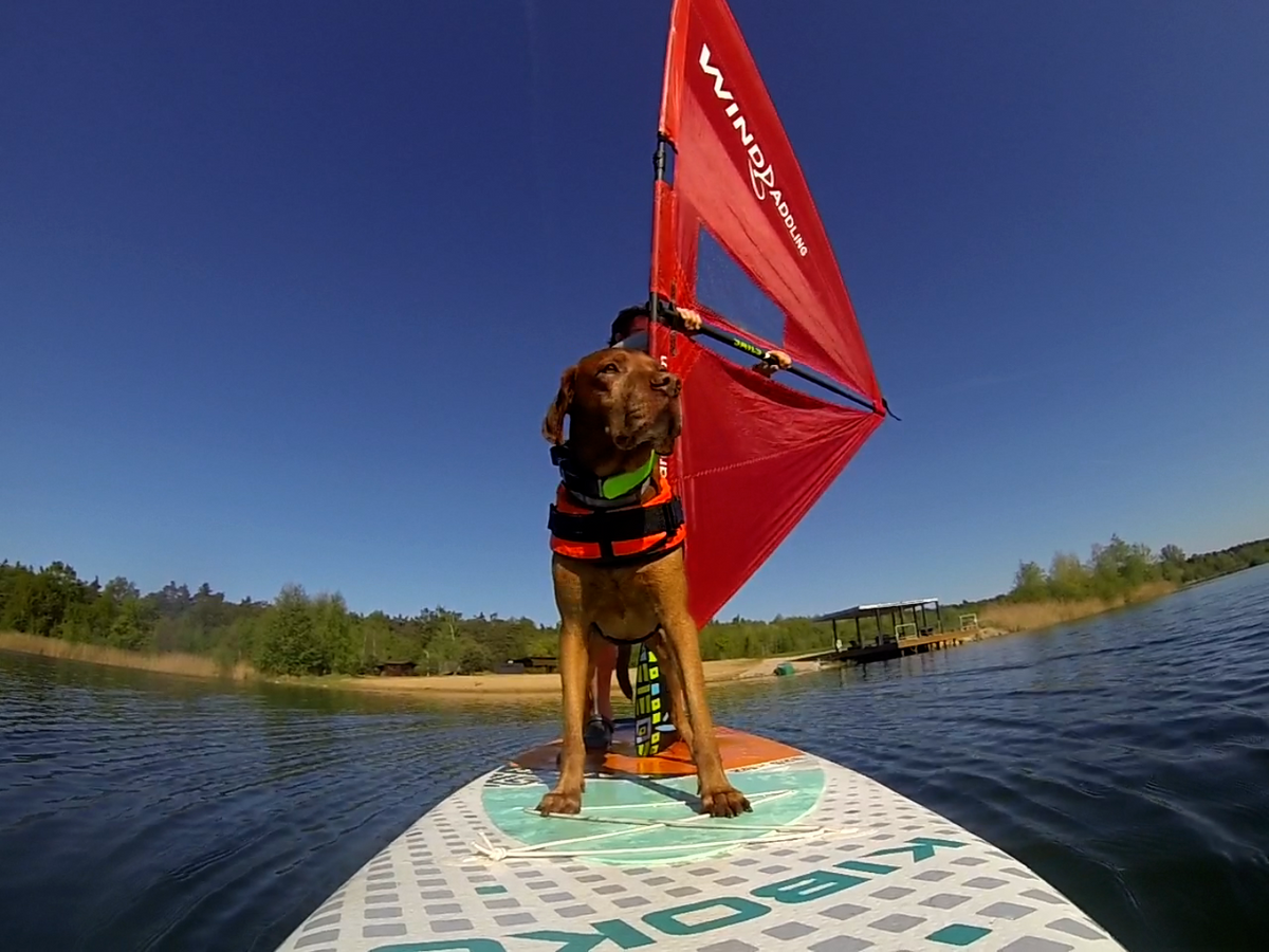 Proč WINDpaddling set nestojí méně?